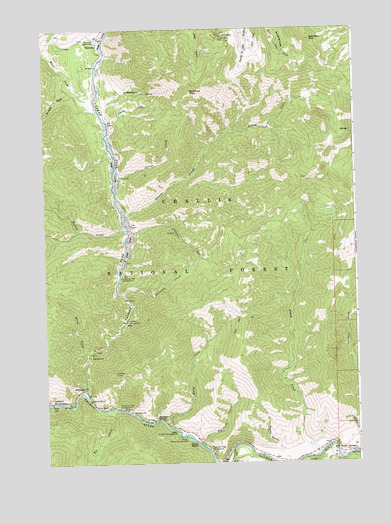 Sunbeam, ID USGS Topographic Map