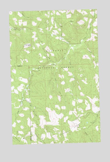Sunday Mountain, MT USGS Topographic Map