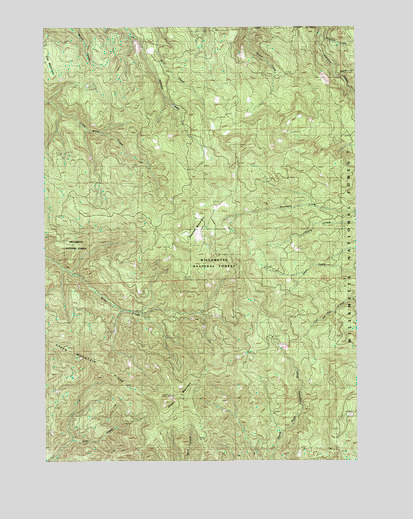 Swamp Mountain, OR USGS Topographic Map