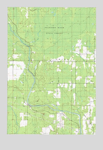 Swimming Hole Creek, MI USGS Topographic Map