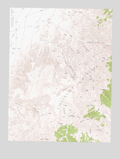 Table Mountain, NV USGS Topographic Map