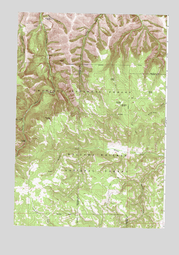 Tamarack Gulch, OR USGS Topographic Map