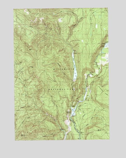 Tamolitch Falls, OR USGS Topographic Map