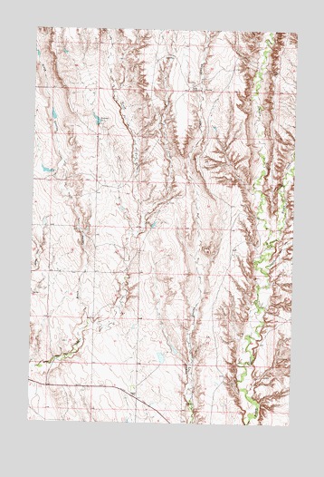 Tampico NE, MT USGS Topographic Map