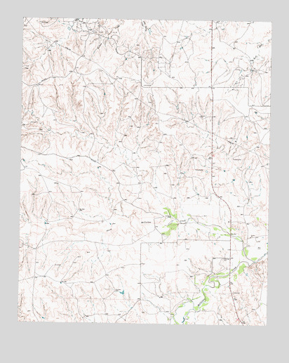 Taylor Ranch, TX USGS Topographic Map