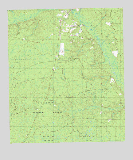 Telogia, FL USGS Topographic Map