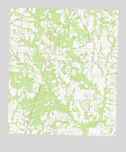 Tempy, GA USGS Topographic Map