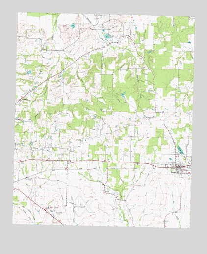 Blossom, TX USGS Topographic Map