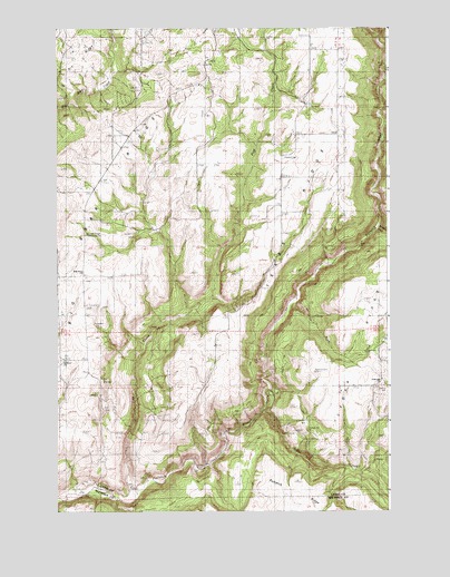 Texas Ridge, ID USGS Topographic Map