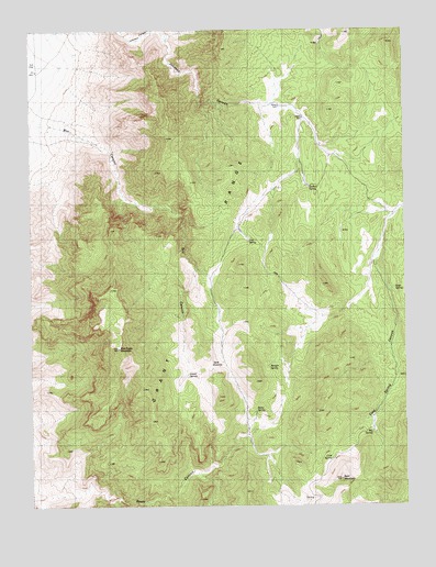 Blue Eagle Mountain, NV USGS Topographic Map
