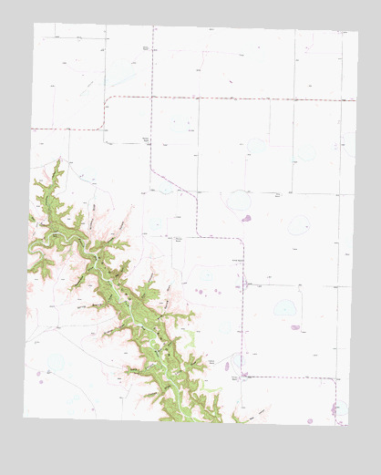 Thomas Ranch, TX USGS Topographic Map