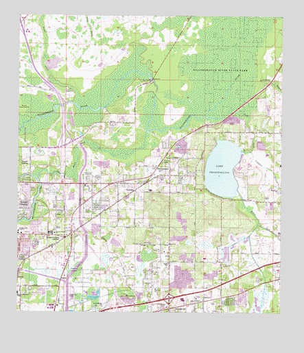 Thonotosassa, FL USGS Topographic Map