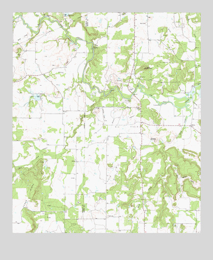 Thrifty, TX USGS Topographic Map