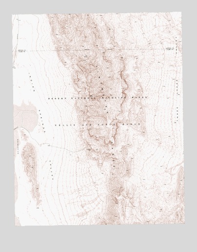 Tim Spring, NV USGS Topographic Map