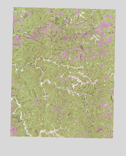 Tiptop, KY USGS Topographic Map