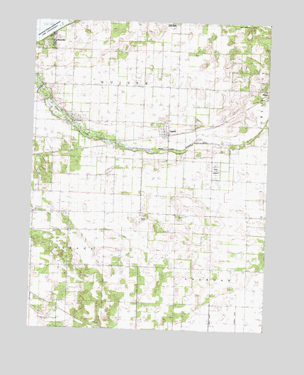 Topeka, IL USGS Topographic Map