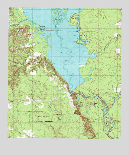 Town Bluff, TX USGS Topographic Map