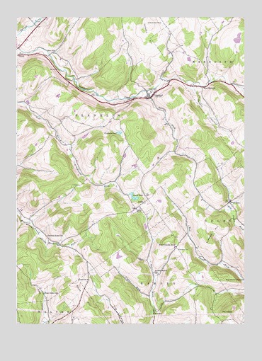 Treadwell, NY USGS Topographic Map