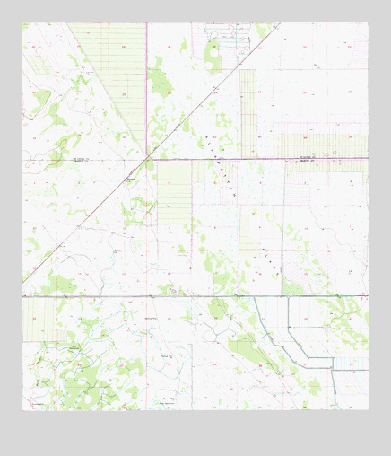 Bluefield, FL USGS Topographic Map