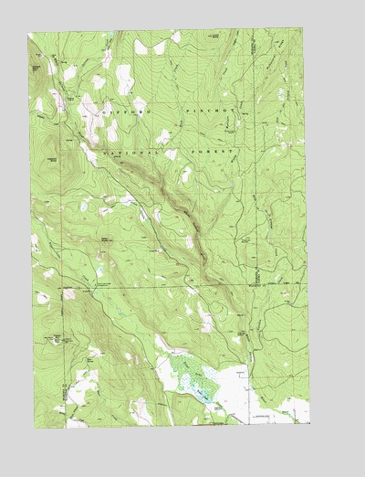 Trout Lake, WA USGS Topographic Map