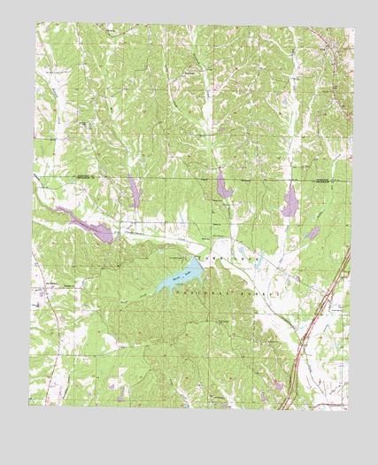 Troy, MS USGS Topographic Map