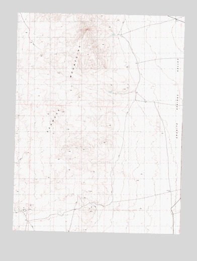 Bluewing Spring, NV USGS Topographic Map