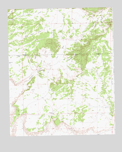 Twentytwo Spring, NM USGS Topographic Map