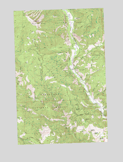 Tyee Mountain, WA USGS Topographic Map
