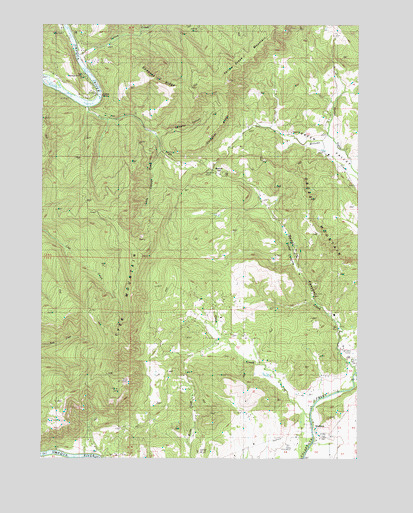Tyee Mountain, OR USGS Topographic Map