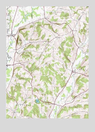 Unadilla Forks, NY USGS Topographic Map