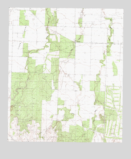Vancourt, TX USGS Topographic Map