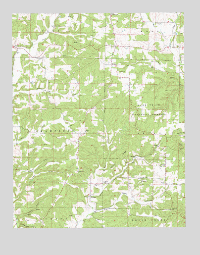 Vanzant, MO USGS Topographic Map