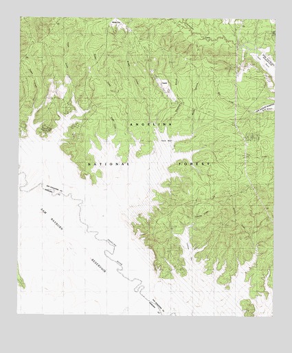 Veach, TX USGS Topographic Map