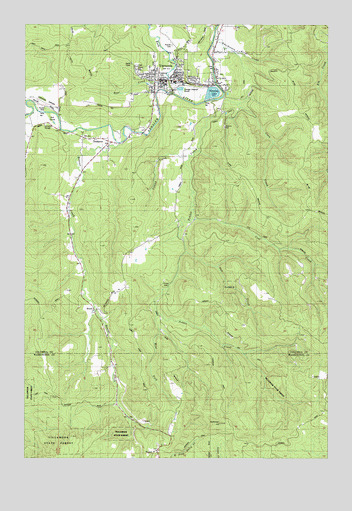 Vernonia, OR USGS Topographic Map