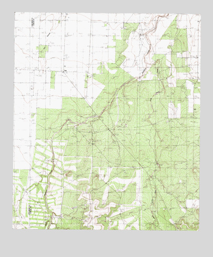 Vick, TX USGS Topographic Map