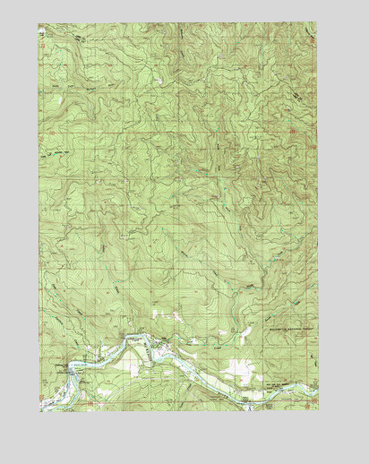 Vida, OR USGS Topographic Map