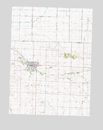Walnut, IL USGS Topographic Map