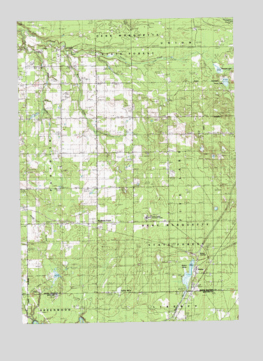 Walton, MI USGS Topographic Map