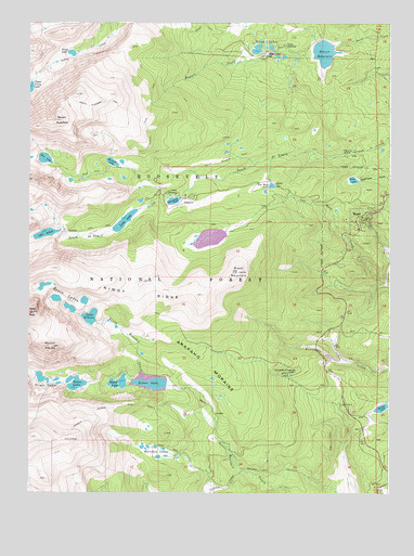 Ward, CO USGS Topographic Map