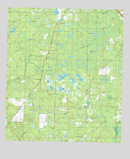 Warrior Swamp, FL USGS Topographic Map