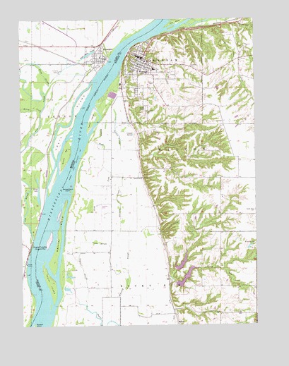 Warsaw, IL USGS Topographic Map