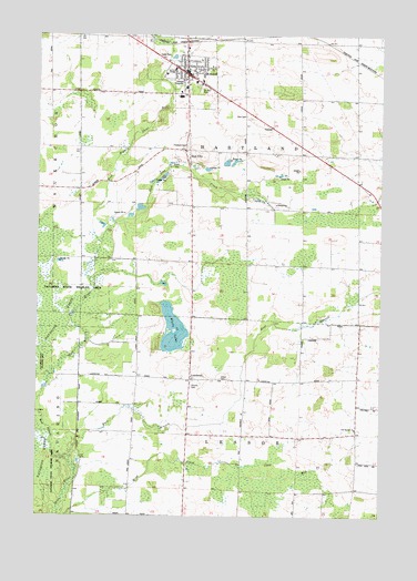 Bonduel, WI USGS Topographic Map