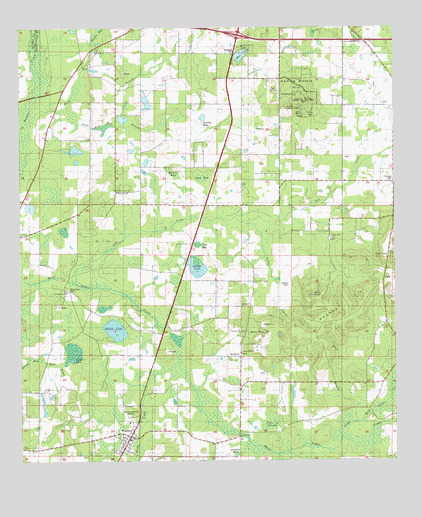 Wausau, FL USGS Topographic Map