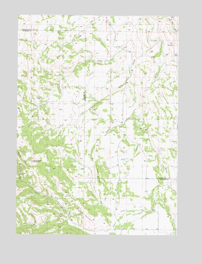 Bone, ID USGS Topographic Map