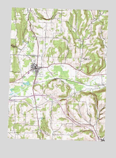 Wayland, NY USGS Topographic Map