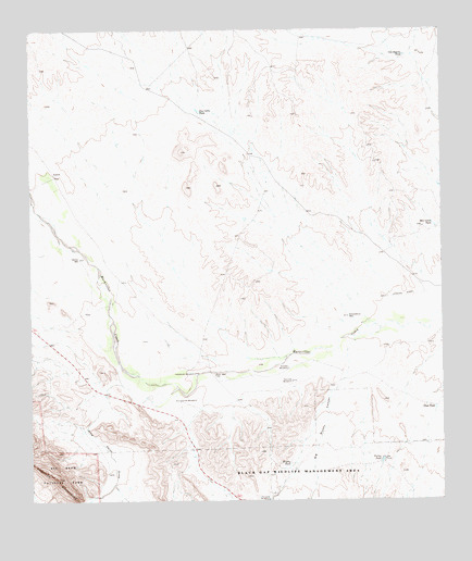 Bone Spring NE, TX USGS Topographic Map