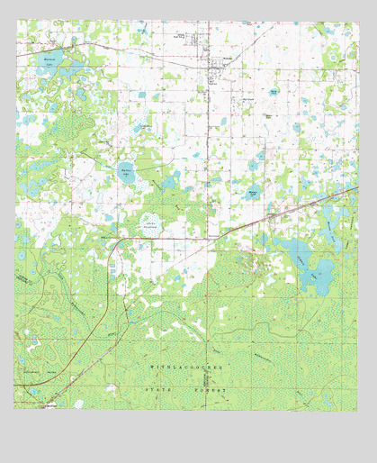 Webster, FL USGS Topographic Map