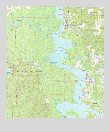 Welaka, FL USGS Topographic Map