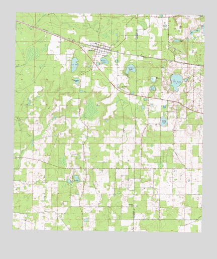 Wellborn, FL USGS Topographic Map