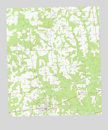 Whigham, GA USGS Topographic Map